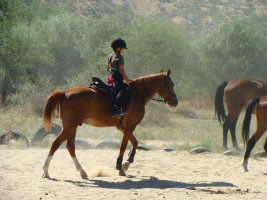 lessons img007