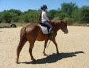 lessons img011