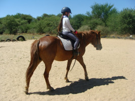 lessons img011