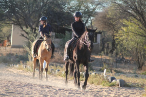 lessons img012