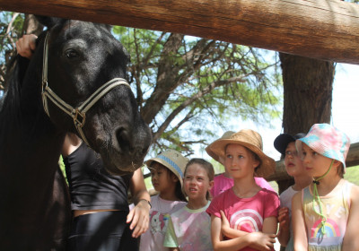 Pony Party