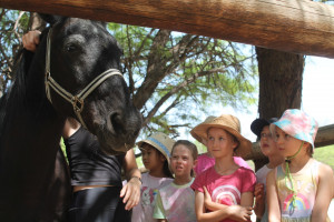 pony party img001
