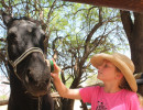 pony party img002