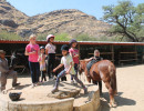 pony party img003