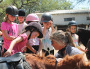 pony party img005