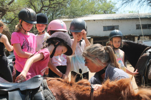 pony party img005