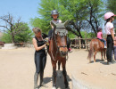 pony party img006