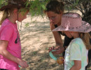 pony party img011
