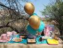 pony party img017