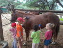 school group img003