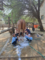 school group img025