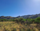 trails img005