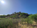 trails img006
