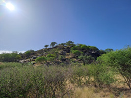 trails img006