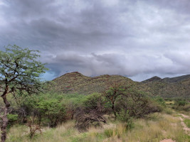 trails img009