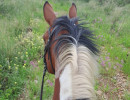 trails img010