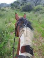 trails img010
