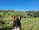 trails img011