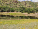 trails img013