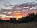trails img017