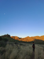 trails img018