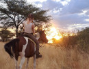trails img019