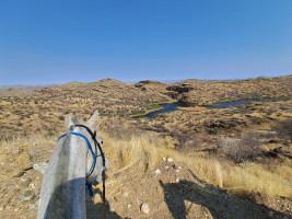 trails img026