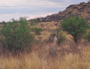 trails img030