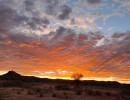 trails img031