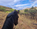 trails img033