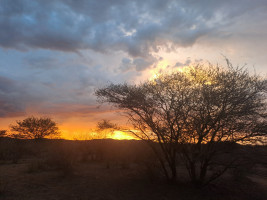 trails img035