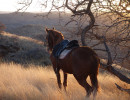trails img037