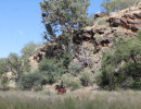 trails img050