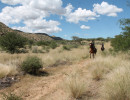 trails img052
