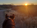 trails img053