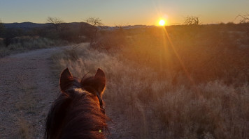 trails img053
