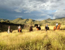trails img055