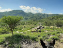 trails img057