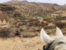 trails img058