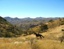 trails img059