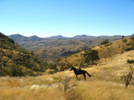 trails img059