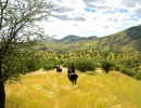 trails img063