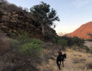 trails img064