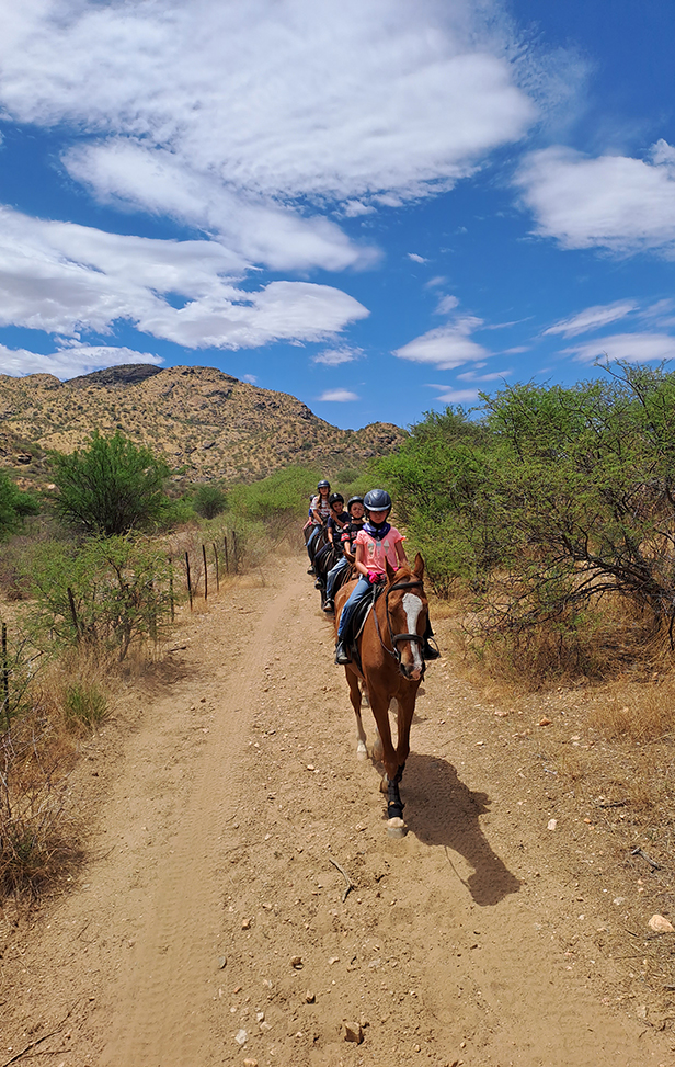 All neatly lined up on the trail