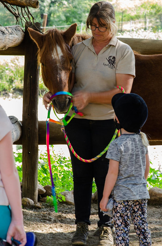 Learning how to bridle